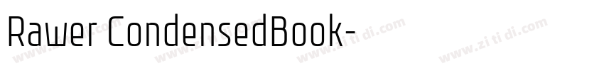 Rawer CondensedBook字体转换